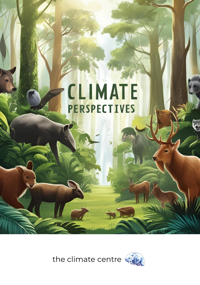 Climate Perspectives